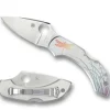 Dragonfly™ Stainless Tattoo-Spyderco Hot